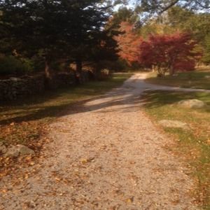 Meet your Posher, Joan